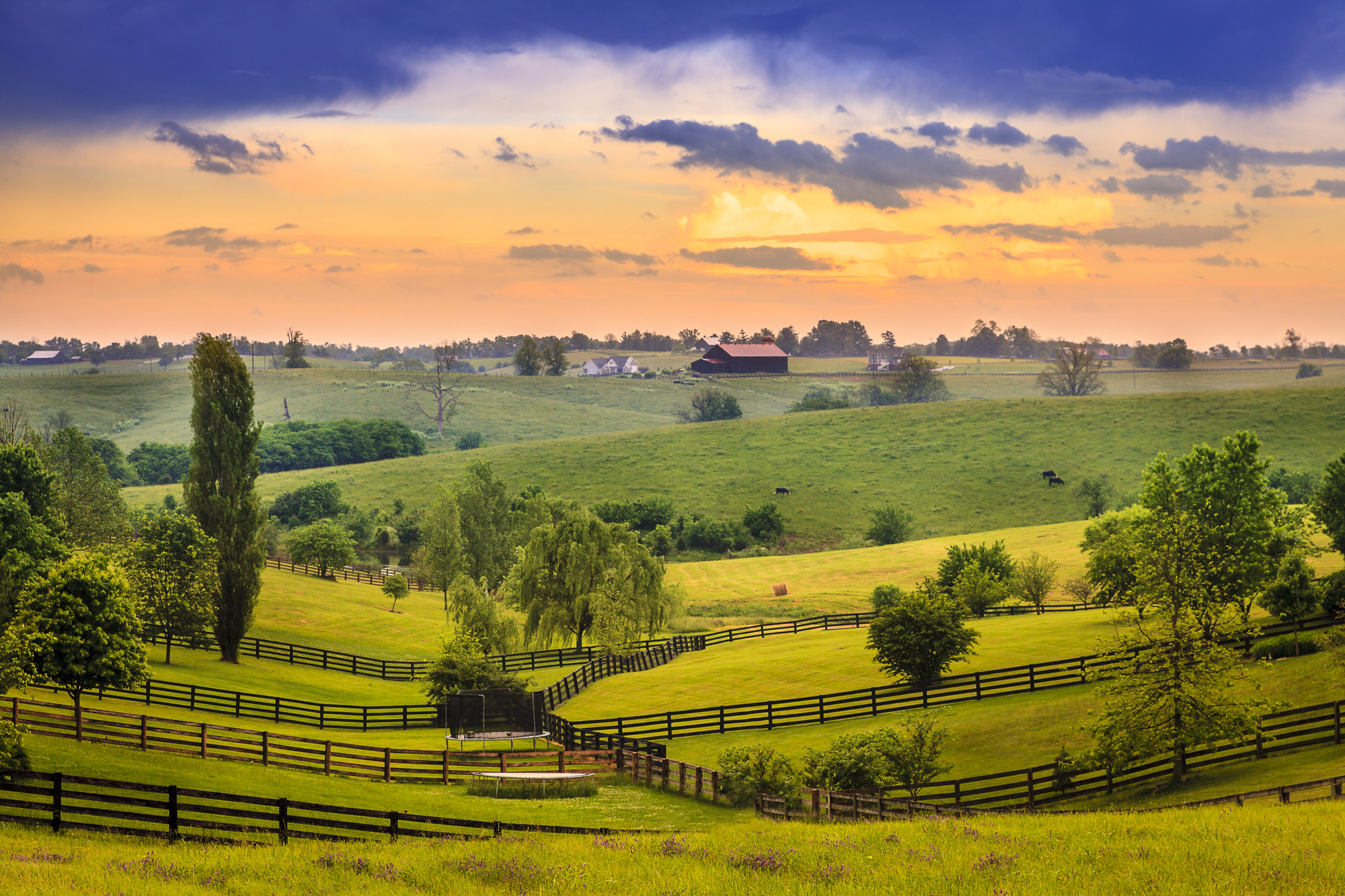Ketamine Treatment In Paducah